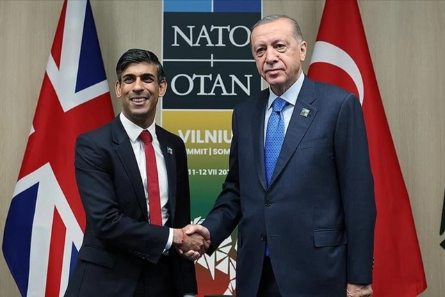 Эрдоган и Сунак провели встречу на полях саммита НАТО в Вильнюсе